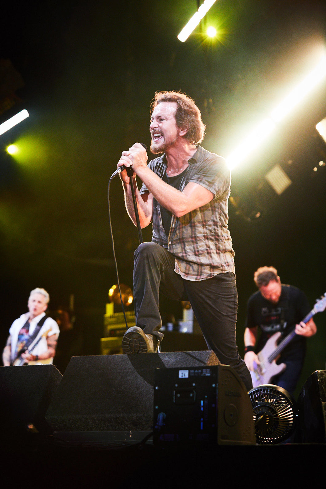 Eddie Vedder (Fenway Park, 2018)