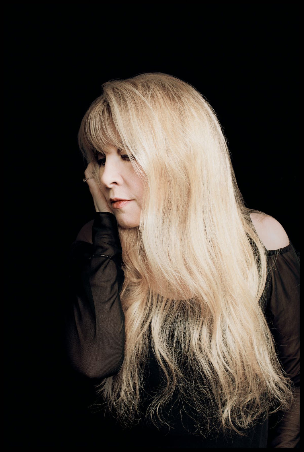 Stevie Nicks (New York City, 2013)