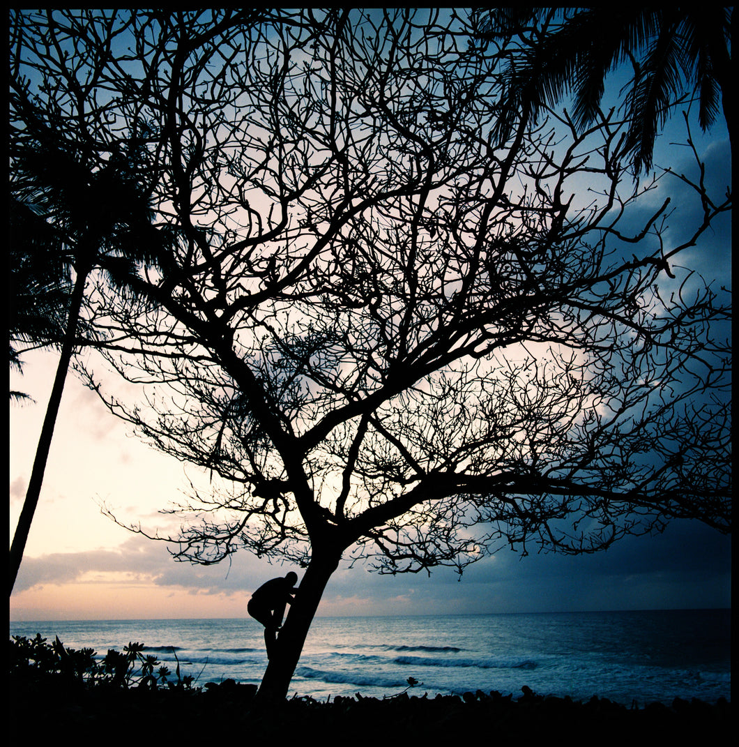 Jack Johnson (Hawaii, 2003)