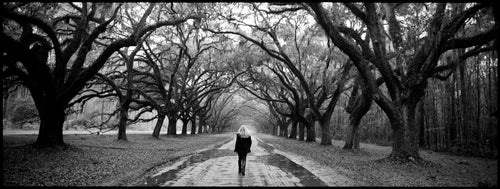 Gregg Allman (Savannah, 2010) - Transparent Clinch Gallery